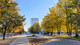 Бабье лето прошло: 24 сентября в Нижнекамске чуть похолодает