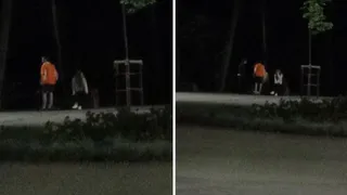 Вандализм входит в моду: хулиганы опрокинули биотуалеты в ЦПКиО