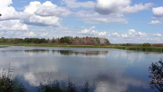 Вчера на озере Долгом утонул нижнекамец