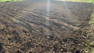 Многодетные семьи из Рязани добились подвода коммуникаций на выделенные им участки