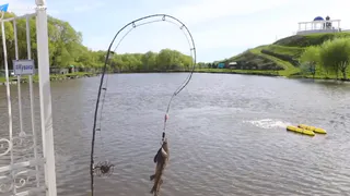 Олег Мельниченко рассказал о медиаэкспедиции блогеров в Пензенскую область