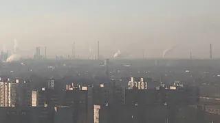 Любимов: людей нужно информировать об экологической обстановке