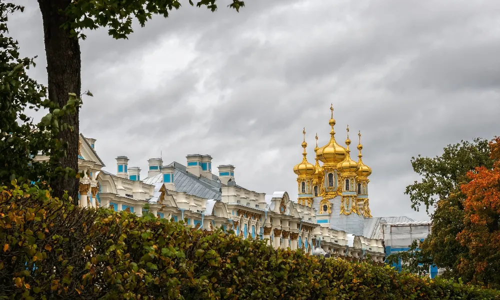 Похолодание в апреле: советы по защите растений от заморозков