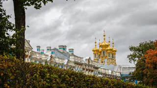 Похолодание в апреле: советы по защите растений от заморозков