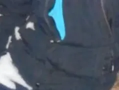 Прямо на глазах у всех: в Нижнекамске мужчина повесился на улице Лесной