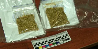 Житель Пензы перевозил в багажнике своего авто более 600 граммов конопли