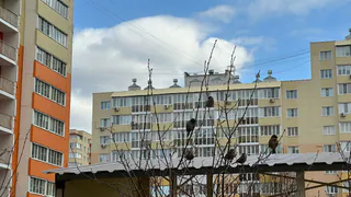 Дождались, ставку снижают: тысячи россиян смогут купить себе новенькую квартиру