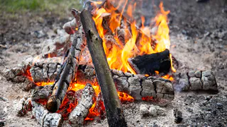 Штрафы за костры выросли до 800 тысяч рублей