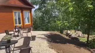 До конца года в регионе откроются три новых объекта агротуризма