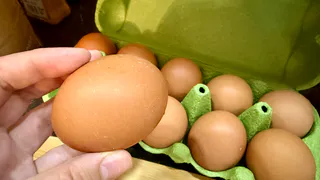 Эксперты разрешили спор домохозяек: как хранить яйца, чтобы они дольше оставались свежими — острым концом вверх или вниз