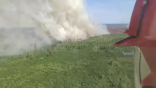 В Клепиковском районе низовой пожар перешел в верховой