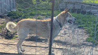 Прокуратура Чучковского района отреагировала на обращение жительницы