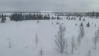 «Поступили новые данные, и от них становится страшно». Синоптики сказали новый прогноз на ноябрь