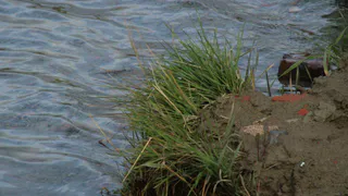 В Чувашии предприятие выплатило ущерб за загрязнение земли