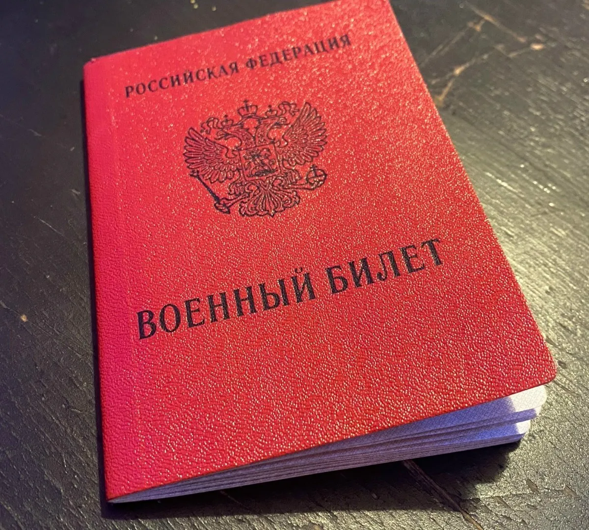 В Пензенской области мигрантам вручили повестки во время рейдов