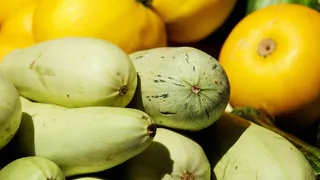 Земля будет усыпана кабачками: простые правила от дачников