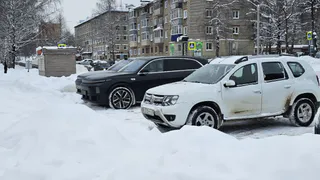 Секретная кнопка в авто: 90% водителей даже не знают, где она - куда нажимать и зачем