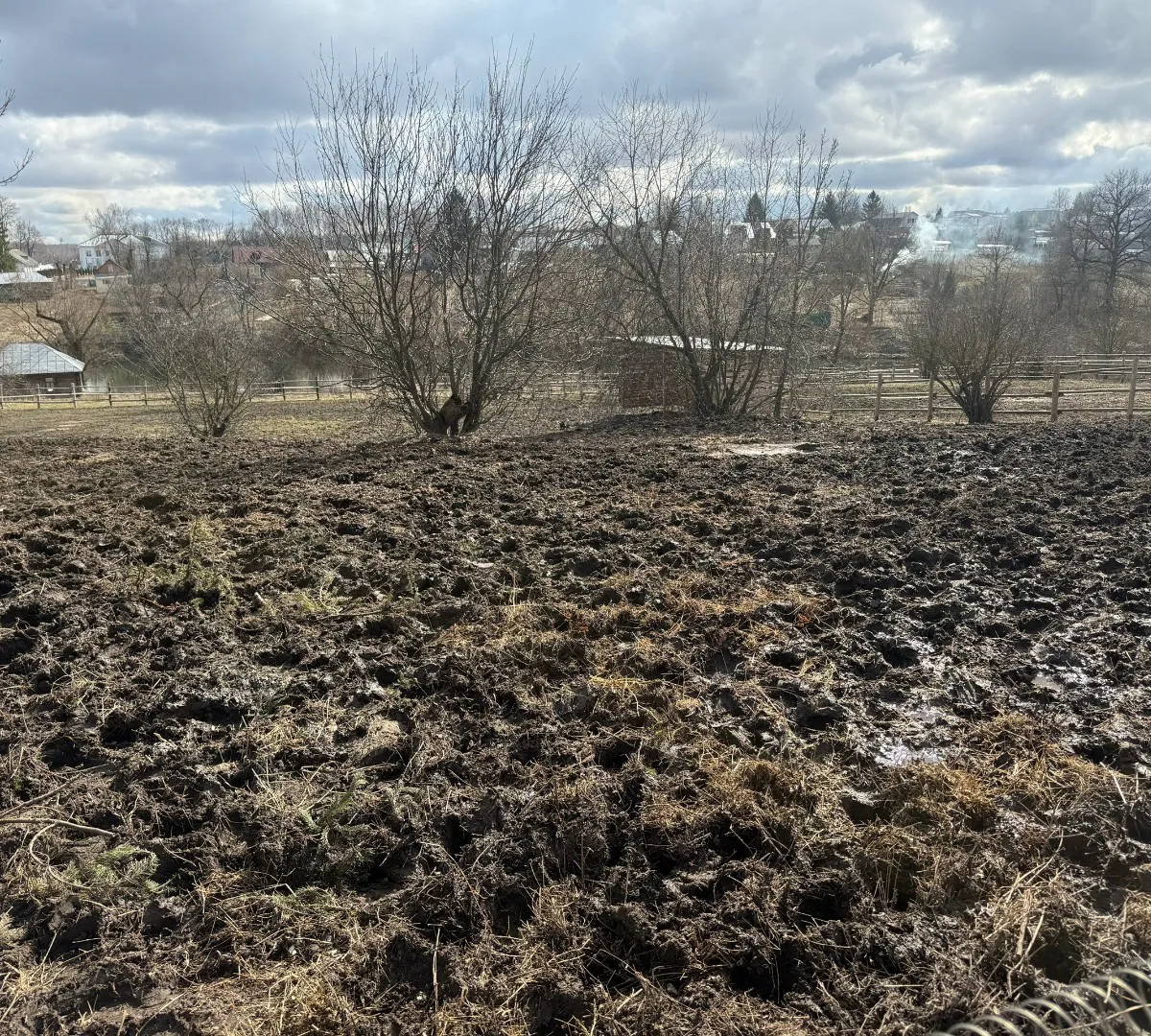 В Пензенской области перераспределили поддержку агробизнеса без роста бюджета