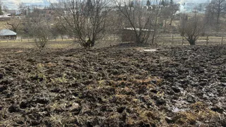 В Пензенской области перераспределили поддержку агробизнеса без роста бюджета