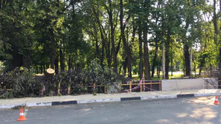 Будет просторно: в Наташкином парке предлагают убрать забор