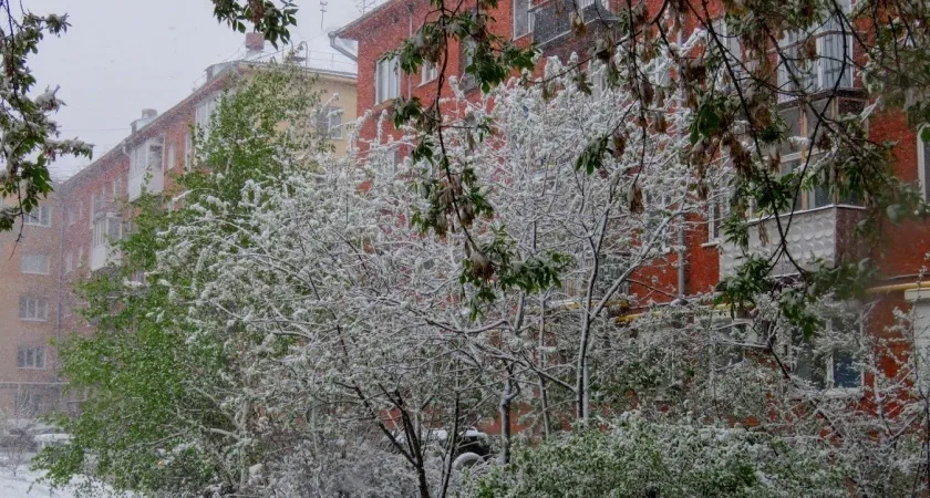 К нам идут мощные заморозки: в каких городах ожидается сильнейший "минус" - свежий прогноз от синоптиков