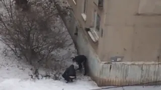 Очевидец снял видео поиска "закладок" наркоманами