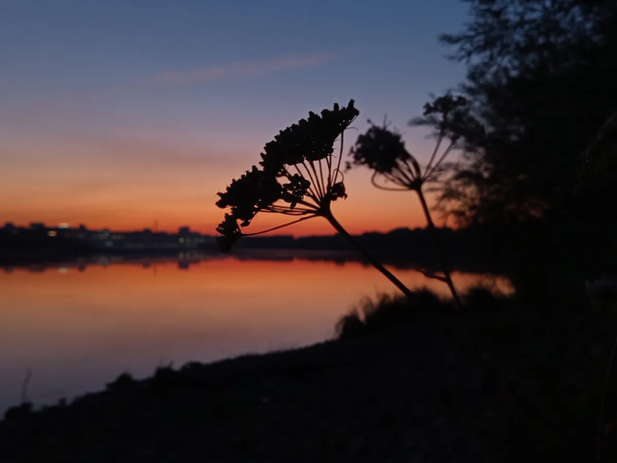 Зима-2026 будет суровой: синоптики призвали население готовиться к испытаниям