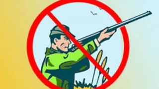 Из-за пожароопасной обстановки в регионе ввели запрет на охоту