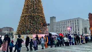 Мэрия Пензы отчиталась об украшении города к 2024 году