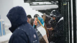 16 мая в Рязанской области ожидается похолодание до +12 градусов