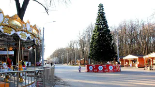 Подготовка полным ходом: Рязань украшают к Новому Году