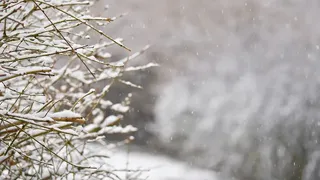 Синоптики прогнозируют 25-градусные морозы во Владимире