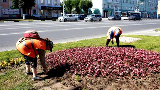 Благоустройство: Городские службы начали проводить работы в центре города
