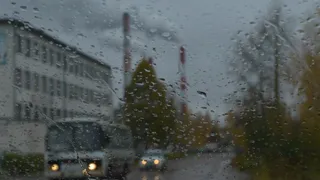 "Желтый" уровень: в Рязани до понедельника будет дождливо и ветрено