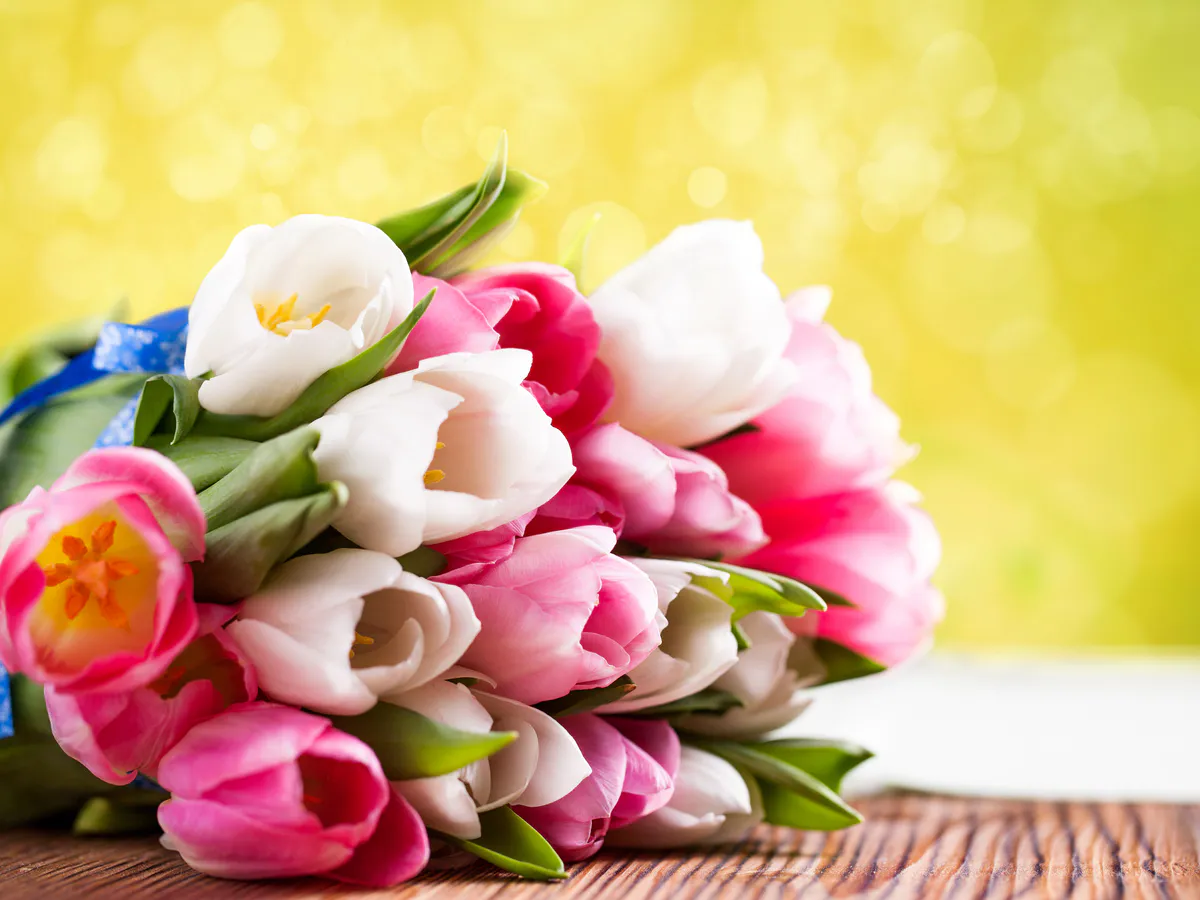 Специалисты рассказали, как выбрать цветы на 8 марта