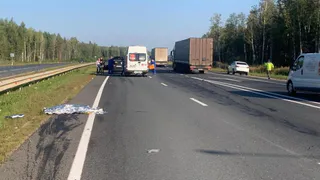 В Судогде осудили водителя за наезд на пешехода со смертельным исходом