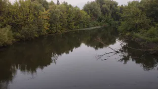 Рязанские водоемы попали в число самых рыбных мест страны