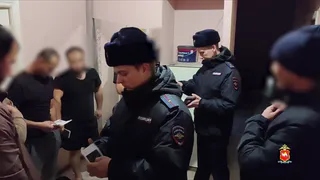 В Челябинской области завершились массовые проверки мигрантов