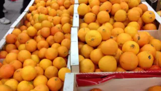 В один из городов РФ привезли около 3-х тонн зараженных турецких мандаринов
