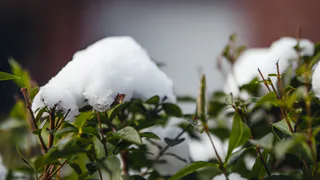 Синоптики предсказывают аномально страшное лето в России