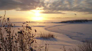 Какая погода ждет рязанцев в выходные: прогноз синоптиков