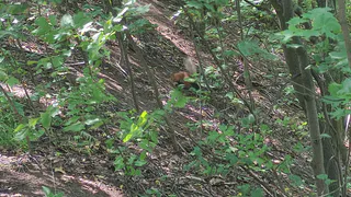 В Коми появился геоглиф в виде составленного слова «Россия»