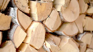 В Чувашии выявляют случаи нецелевого использования древесины