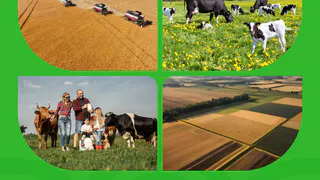 Более миллиона россиян примут участие в первом Всероссийском агродиктанте