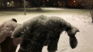 Морозный понедельник: в Рязанской области ожидается ветер и до -17 градусов