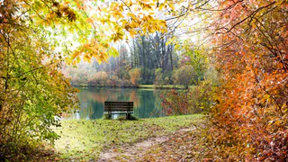 Съездил на 2 дня в Каширу: город в 100 км от столицы, а туристы туда не доезжают - рассказываю чем восхитился и что напугало 