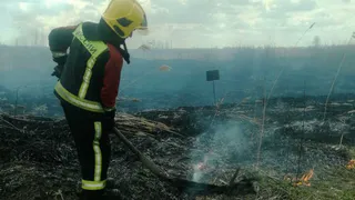 Во Владимирской области отменили особый противопожарный режим