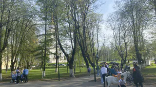 Россиян просят покинуть свои дома до 5 мая: уже не до шуток