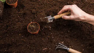 Три ложки на кучу, а ветки превращаются в компост: способ без суеты — земля воздушная, как пушок