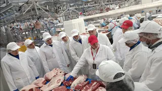 "Мираторг" развивает систему прямого потребительского контроля, приглашая независимые инспекции клиентов на производственные активы